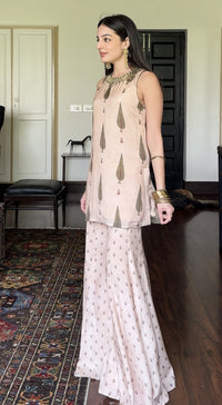 Beige Muslin Embroidered Palazzo Set