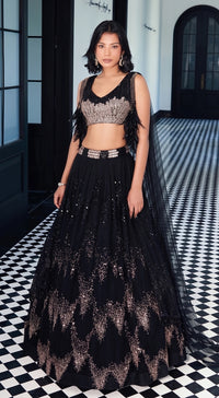 Black Sequins Net Embroidered Lehenga Set