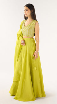 Lime Tissue Embroidered Lehenga Set