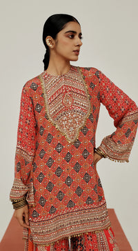 BS101-341-RED-2