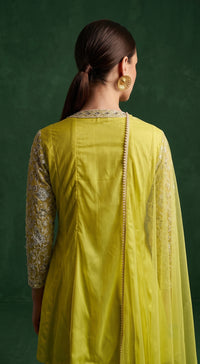 BSO-1073-LIME-(3)