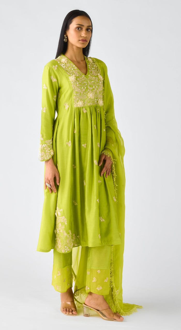 Blush Pink Chiffon Embroidered Suit Set