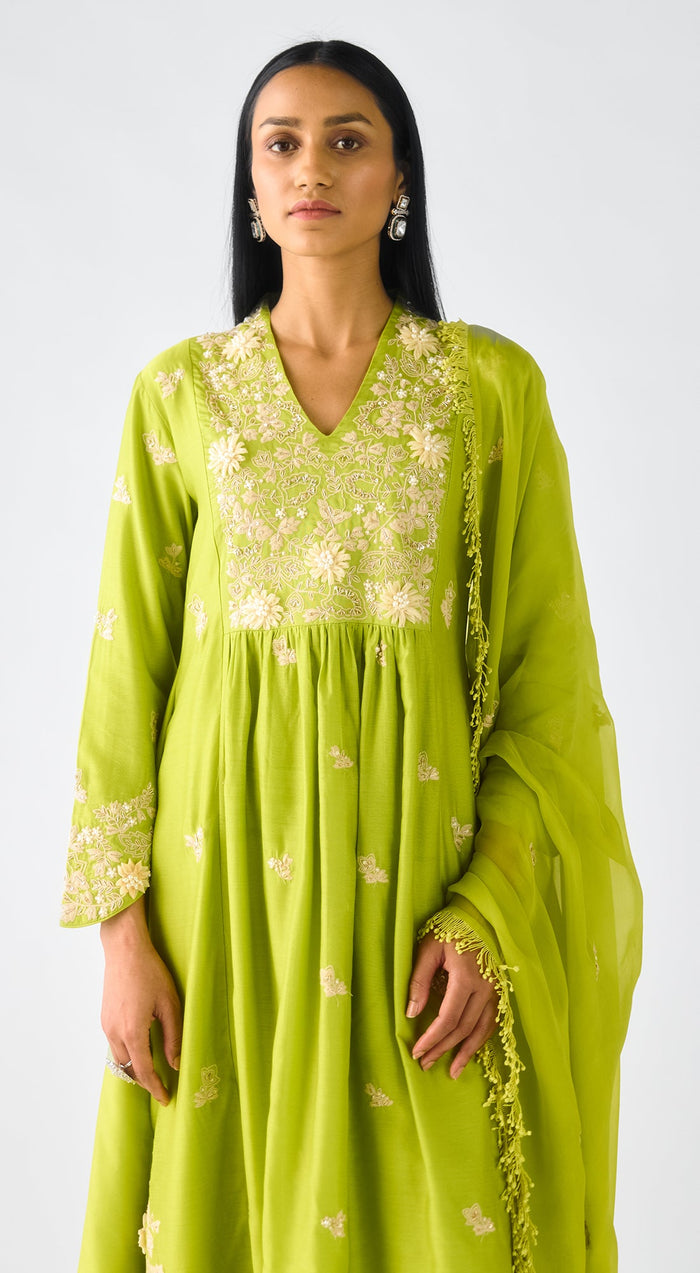 Blush Pink Chiffon Embroidered Suit Set