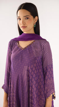 Purple Tissue Embellished Suit Set