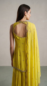 BSR-4043-YELLOW-(4)
