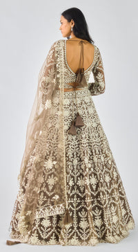 Mouse Net Embroidered Lehenga Set