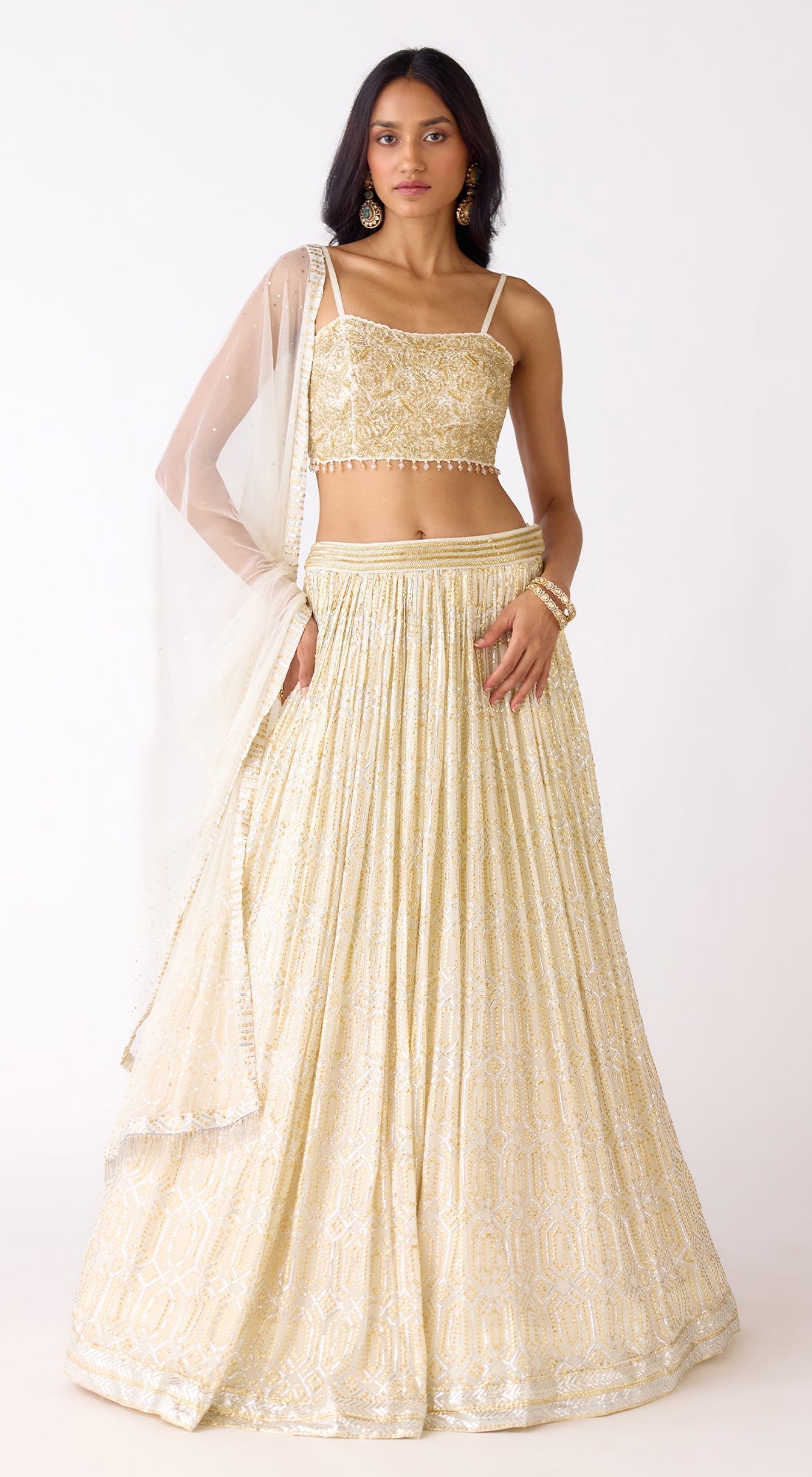 The Celestial Gem Lehenga Set