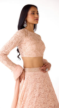 The Soft Blush Lehenga Set