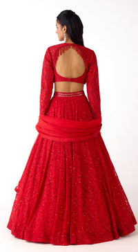 Red Chantilly Net Embroidered Lehenga Set