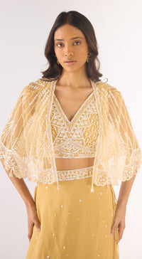 Gold Georgette Embroidered Lehenga Set