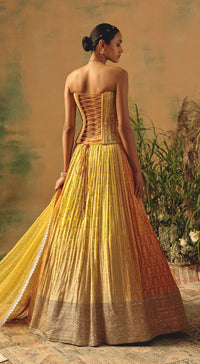 The Wild Mariposa Lehenga