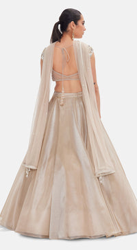 The Liquid Starlight Lehenga Set
