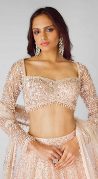 The Peach Celestial Dream Lehenga