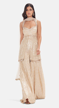 The Beige Shimmer Sharara Set