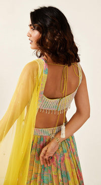Multicoloured Printed Lehenga Set - Basanti Kapde aur Koffee